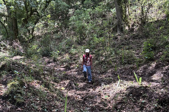 Amazing Walk through the Zapotec Mountains with Hot Chocolate - Iván and Marianna’s style: pacing, plant talk, and a friendly vibe