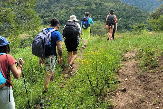 Apoala Magic Waterfalls Hike and Swim Adventure - Price and value: does $135.85 make sense?