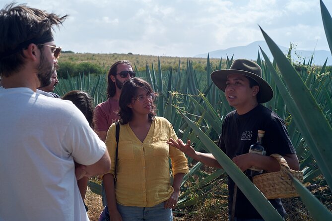 Artisanal Mezcal Culture Tour for Tasting and History - Key highlights you should care about