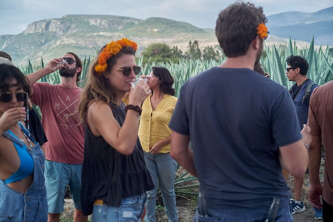 Artisanal Mezcal Culture Tour for Tasting and History - From Oaxaca City to Santiago Matatlán: the ride that shapes the day