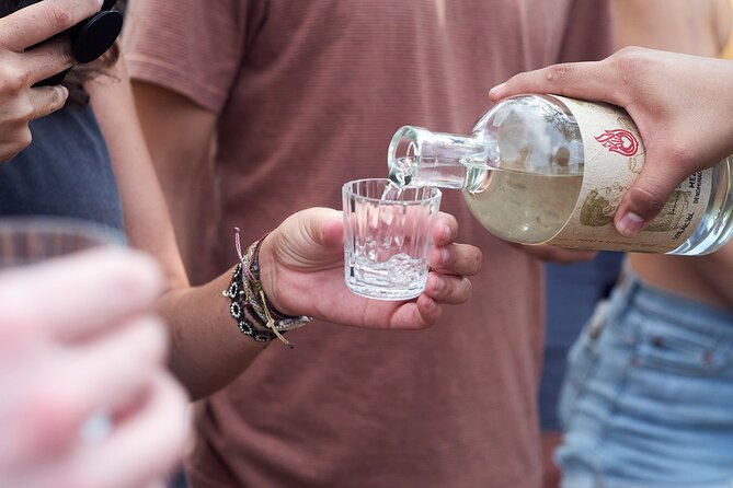 Artisanal Mezcal Culture Tour for Tasting and History - The palenque tasting: learning to taste what the process changes
