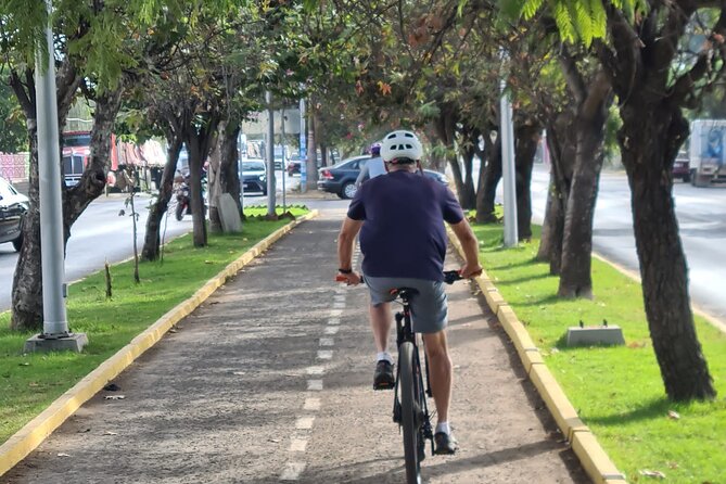 Bike ride to the Tule tree through the countryside - From Oaxaca City to Tule: A Ride That Feels Like a Day Plan