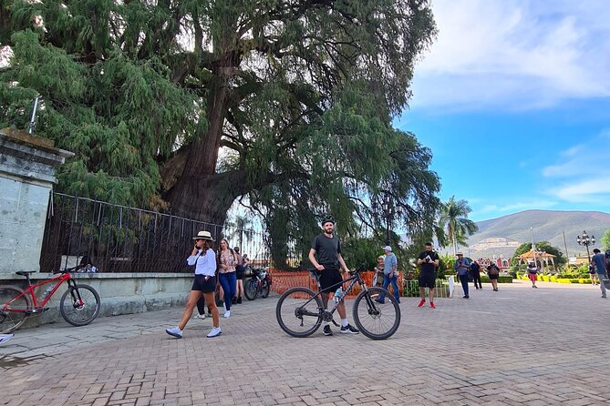 Bike ride to the Tule tree through the countryside - Tule Food Market Timing: Breakfast Isn’t Included, But Snacks Are the Point