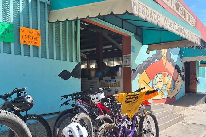 Bike ride to the Tule tree through the countryside - Price and Time: How $44.60 Adds Up for a 3–4 Hour Countryside Ride
