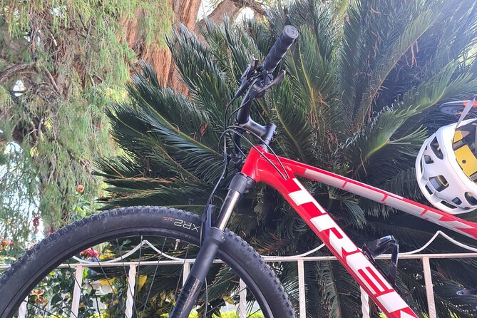 Bike ride to the Tule tree through the countryside - What to Bring (and What to Skip) for a Smooth Day