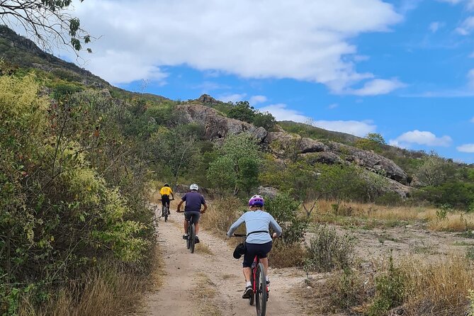 Bike ride to the Tule tree through the countryside - Santa María del Tule Back-Side MTB Trail: Views Without the Car Noise