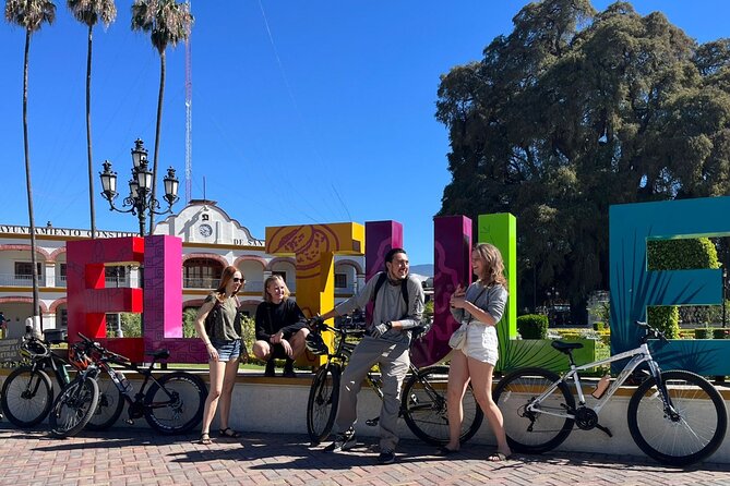 Bike tour to the Tule Tree and the Gastronomic Market - The Arbol del Tule experience: 2,000+ years up close