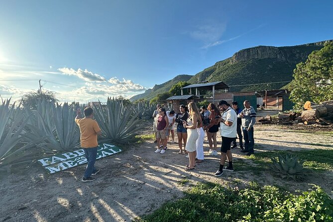 Boil Water,Tube Tree,Mitla,Mezcal and Teotitlan Valley - Hierve el Agua: petrified falls, swimming, and a short walk (yes, it’s easier)