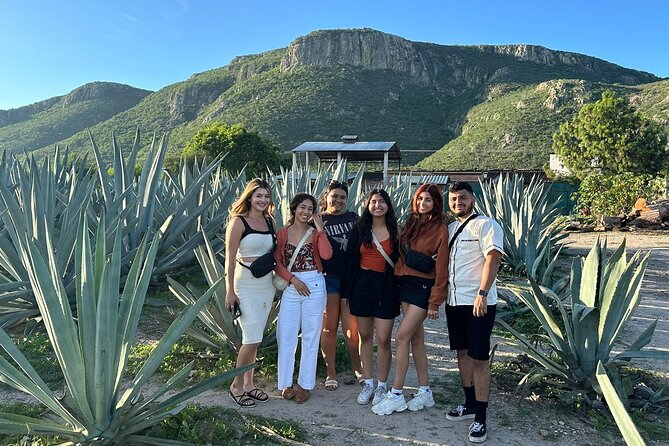 Boil Water,Tube Tree,Mitla,Mezcal and Teotitlan Valley - Lunch at Restaurante Casa Rayo: moles, tortillas from the comal, roast meats, and desserts