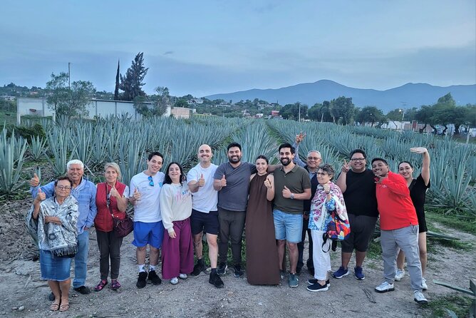Boil Water,Tube Tree,Mitla,Mezcal and Teotitlan Valley - Fabrica de Mezcal Un Dia A La Vez: from agave to tastings (free bar samples)