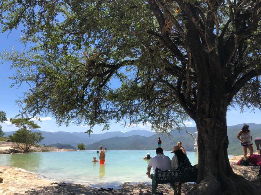 Check out Hierve el Agua, Mitla, the Tule Tree, Rugs, and a Mezcal Distillery Tour - Teotitlán del Valle rug culture: where craft has a story
