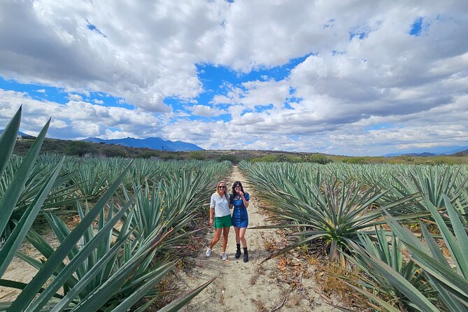 Danzantes Premium Mezcal, Hierve el Agua, Textiles & Lunch - Key highlights worth showing up early for