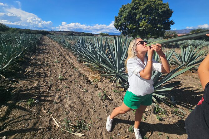 Danzantes Premium Mezcal, Hierve el Agua, Textiles & Lunch - Textiles at Santiago Matatlan and chocolate on the metate