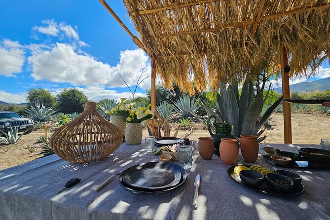 Danzantes Premium Mezcal, Hierve el Agua, Textiles & Lunch - The guide and driver factor that changes the day