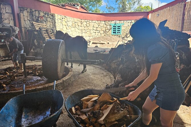 Danzantes Premium Mezcal, Hierve el Agua, Textiles & Lunch - Practical tips so the day feels smooth (not rushed)