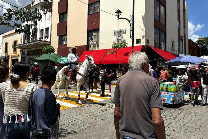 Discover Authentic Mexican Flavor on Our Private Oaxaca Food Tour - Stop 5: Calle Macedonio Alcalá—terrace bites and the secret dish finale