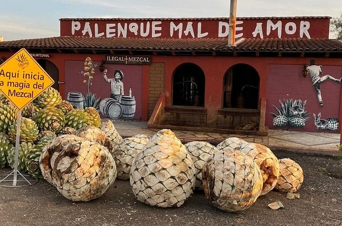 Distillery Tour and Agave Fields by Mal de Amor Mezcal - Guides and Group Size: The Difference Between Watching and Learning
