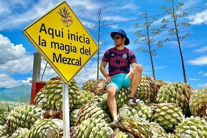 Distillery Tour and Agave Fields by Mal de Amor Mezcal - What’s Included (and What You Should Plan for)