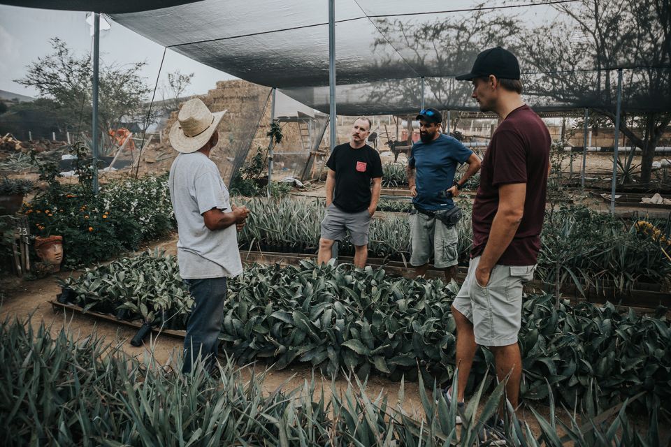 From Oaxaca : Crafts & Cuisine All Included Guided Tour - Who Should Book This Tour (and Who Might Skip It)