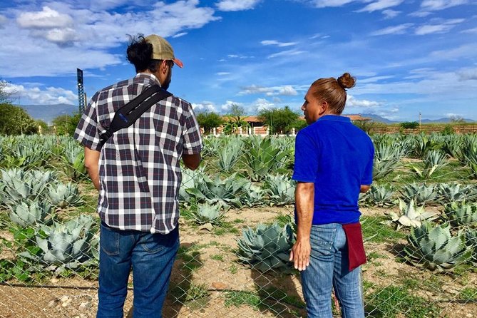 Gastronomy Experience, Culture Mezcal,Tasting & Textiles. Private Tour. - The Tule Tree and San Jerónimo Tlacochahuaya: two different moods