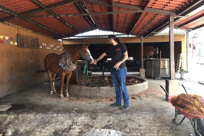 Gastronomy Experience, Culture Mezcal,Tasting & Textiles. Private Tour. - What you’ll likely notice during the day with Rosario and the Guide Oaxaca team