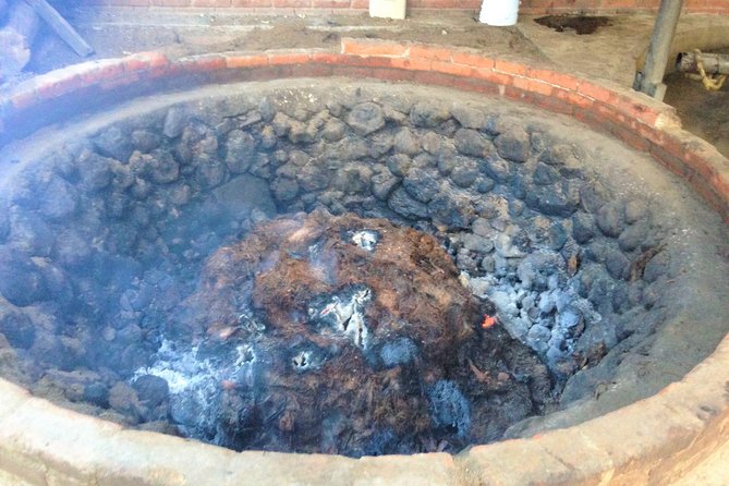 Gastronomy Experience, Culture Mezcal,Tasting & Textiles. Private Tour. - Price and logistics: what’s included, what’s not, and how to plan