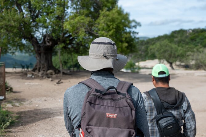 Hierve el Agua Half-Day: Early Access & Personal Guide + Pickup - Walking trails for the petrified waterfalls, rock formations, and mountain views