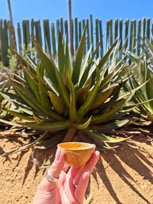 Hierve el Agua, Mitla, Tule, Teotilán and Mezcal factory - Who should book this tour (and who should choose a shorter day)