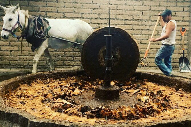 Mezcal Day Experience - Price and Value: What $267.60 Gets You for 7.5 Hours