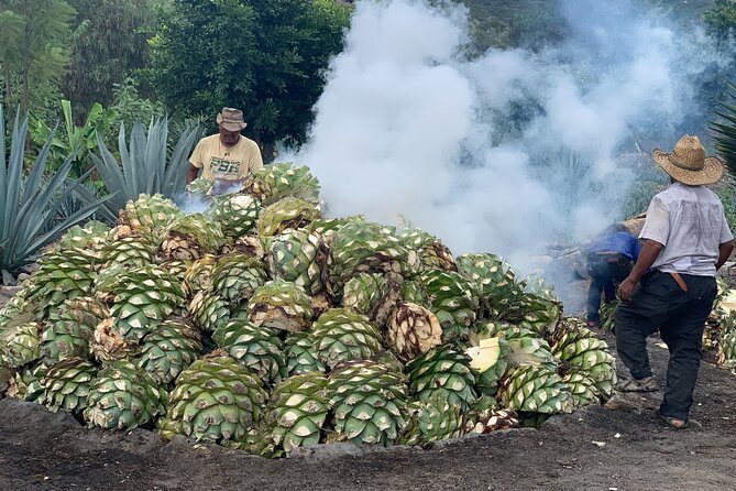 Mezcal Day Experience - Should You Book This Mezcal Day Experience?