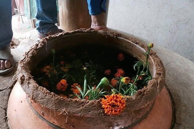 Mezcal Tour Oaxaca - Tasting up to 15 mezcals: how to taste without getting lost