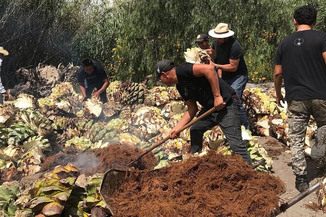 Mezcal Tour Oaxaca - Inside the distillery: plant to bottle, not just speeches