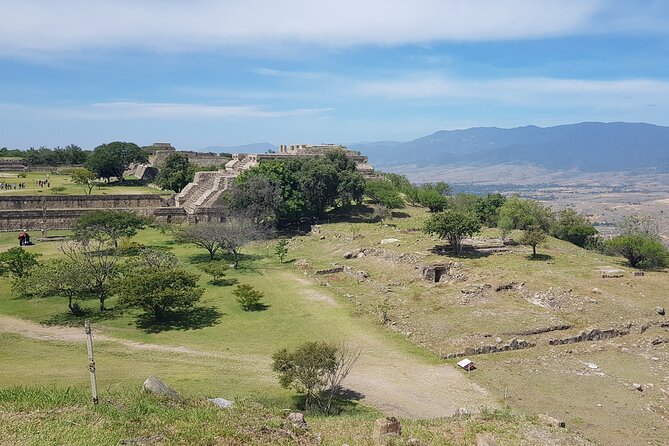 Monte Albán Half Day Tour - What You’ll See: The 2-Hour Visit at Monte Albán