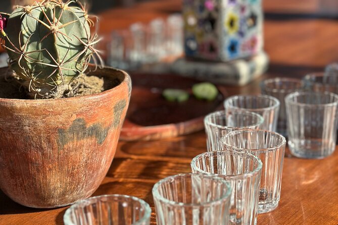 Monte Albán, Hierve el Agua, Mezcal distillery & Teotitlán rugs - Who This Tour Fits Best (and Who Might Feel Cramped)