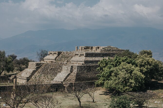 Monte Alban & More... All Included Guided Day Tour from Oaxaca - Santo Domingo Museum: a monastery that turns artifacts into stories