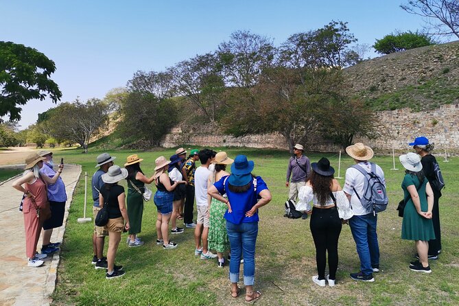 Monte Alban Only - Half Day Guided Tour - Oaxaca - Key Highlights You’ll Actually Care About