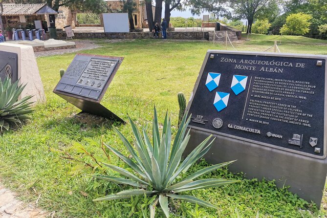 Monte Alban Only - Half Day Guided Tour - Oaxaca - The Air-Conditioned Vehicle Part You’ll Be Glad About