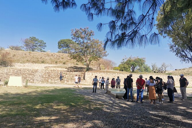 Monte Alban Only - Half Day Guided Tour - Oaxaca - Small Shared Group vs. Big Tour Energy