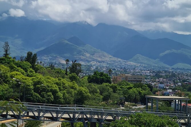 MTB Bike Tour: Enduro on Fortress Hill (Black Diamond) - Bike Flow Oaxaca meet-up and why 8:00 am matters