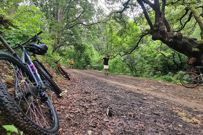 MTB Bike Tour: Monkey Tree + Tule Tree - Key points to know before you go