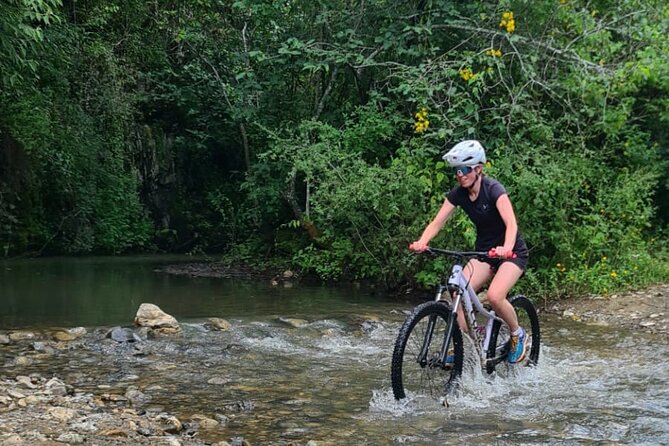 MTB Bike Tour: Monkey Tree + Tule Tree - Terrain math: 40 km, mostly mountain dirt