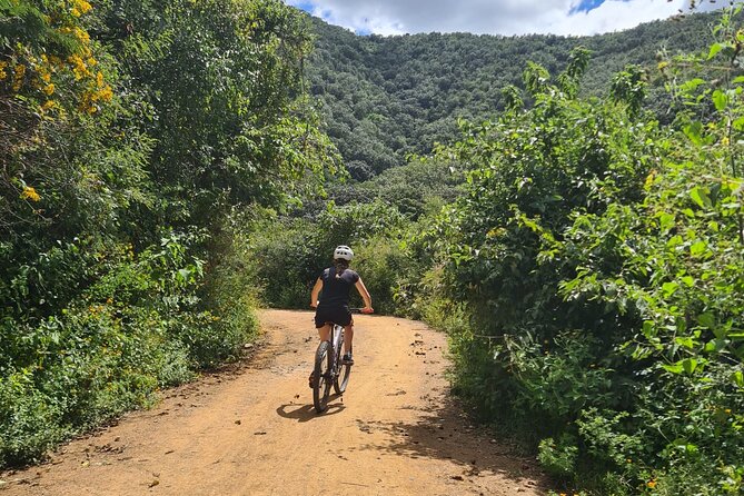MTB Bike Tour: Monkey Tree + Tule Tree - The Monkey Tree trail: effort, views, and fun