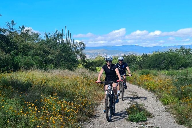 MTB Bike Tour: Monkey Tree + Tule Tree - Snacks, water breaks, and the yolk bread detour