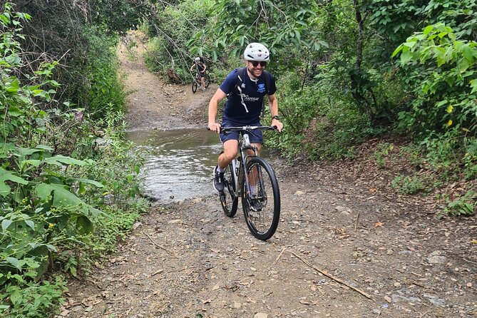 MTB Bike Tour: Monkey Tree + Tule Tree - The route back: cycleway to the store, no drama