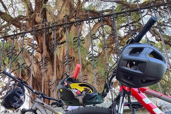 MTB Bike Tour: Monkey Tree + Tule Tree - Price and value: $82.66 for a half-day MTB with real extras