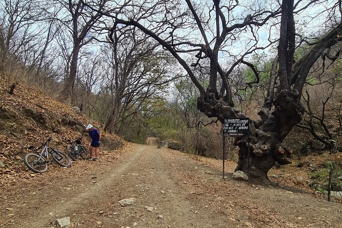 MTB Bike Tour: Monkey Tree + Tule Tree - What it’s like with Humberto as your guide