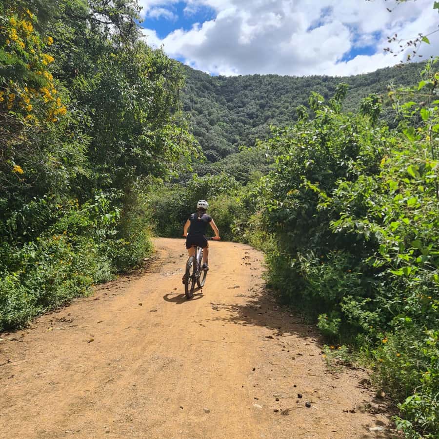 MTB Bike tour to the Monkey Tree + Bread Maker & Tule tree - Key highlights you’ll feel on this tour