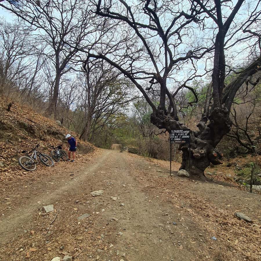MTB Bike tour to the Monkey Tree + Bread Maker & Tule tree - Wood-fired artisanal bread: the stop that turns the day into something local