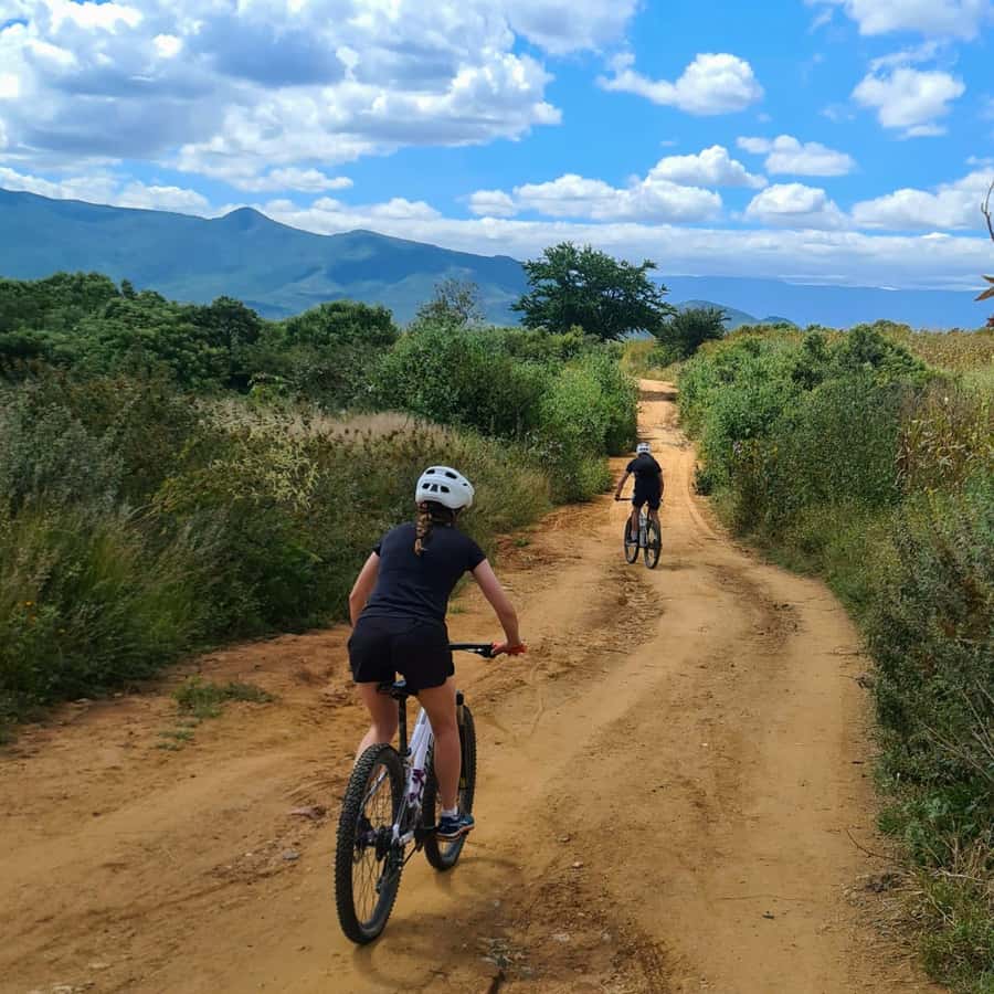 MTB Bike tour to the Monkey Tree + Bread Maker & Tule tree - 8:00am starts and the Santa María del Tule connection