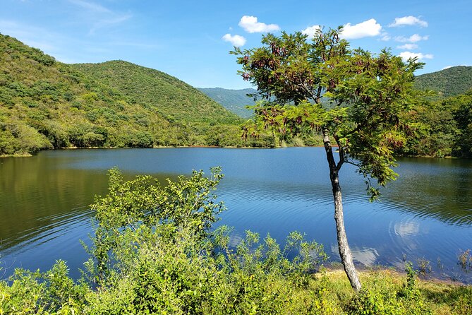 MTB Guided Ride, Tule Tree & Lake Half-Day - Meeting in Downtown Oaxaca: Fast Setup, Clear Start